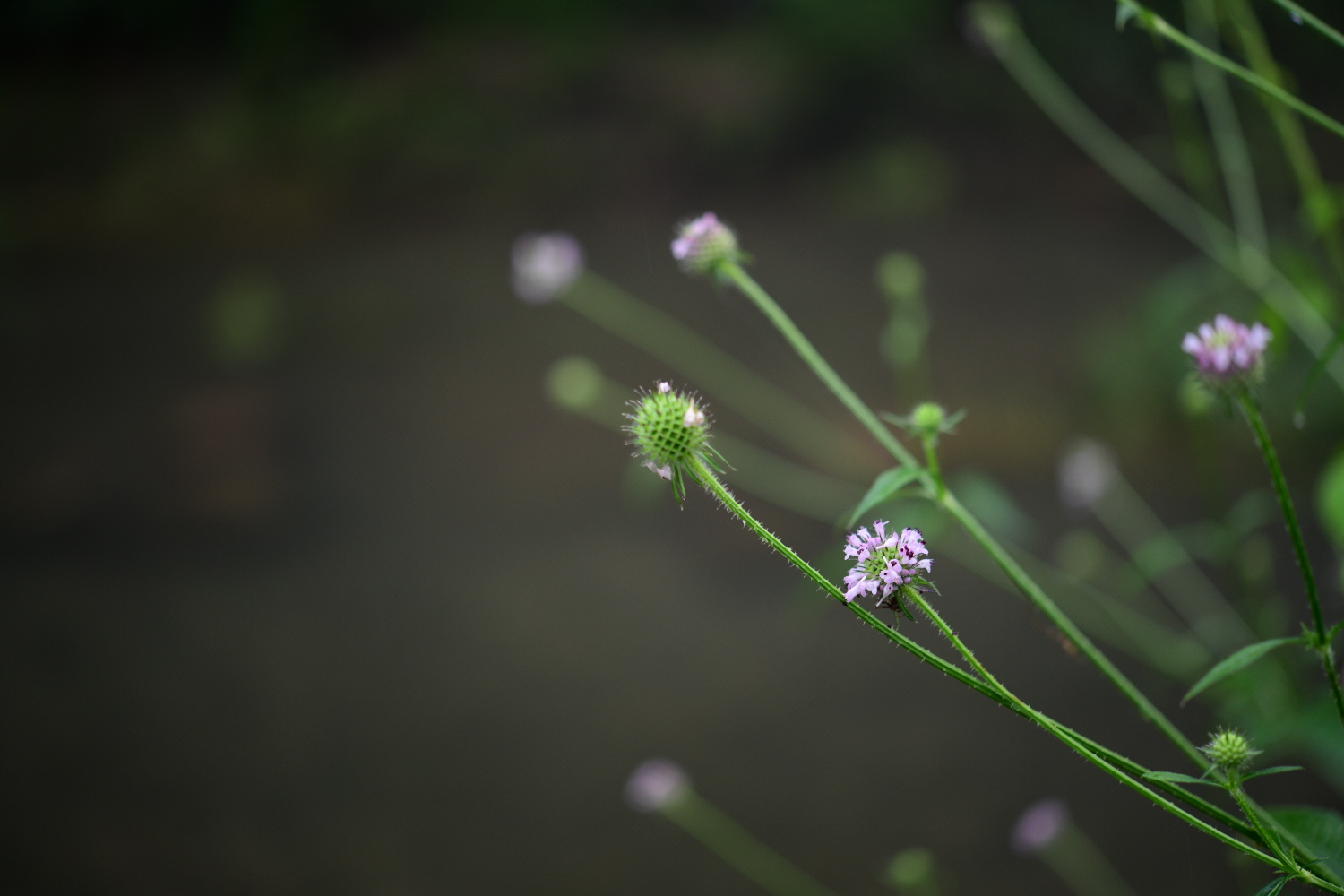크기변환_DSC_5404.JPG