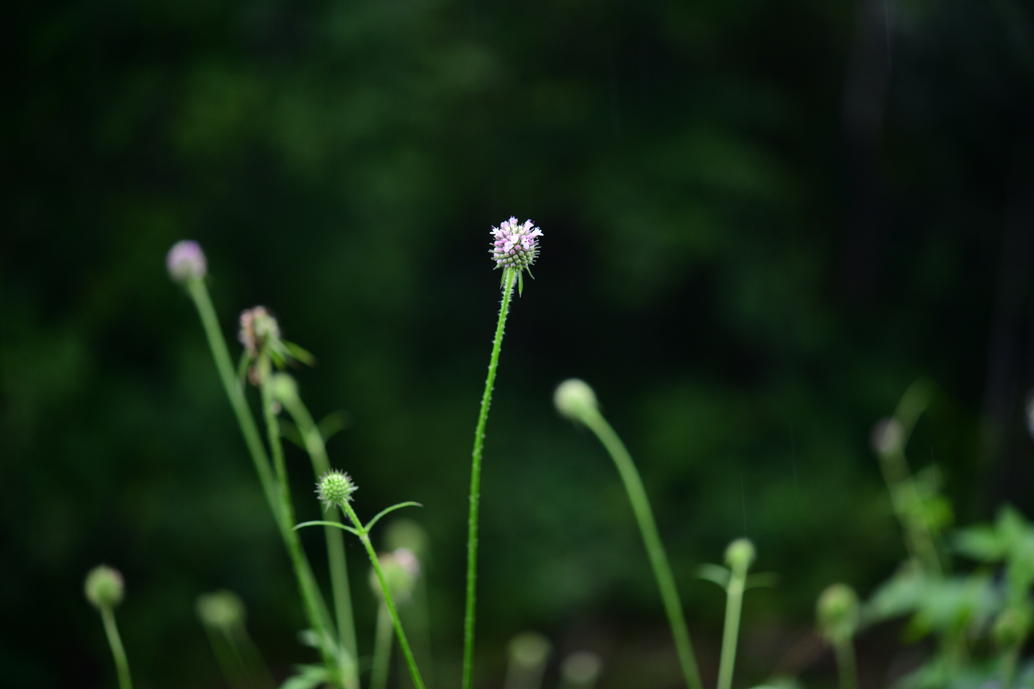 크기변환_DSC_5384.JPG
