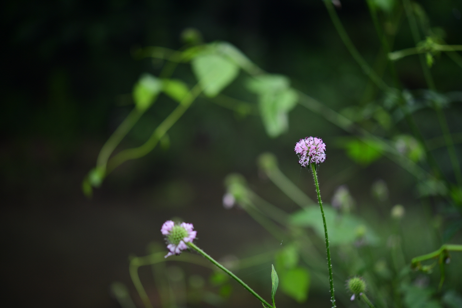 크기변환_DSC_5400.JPG