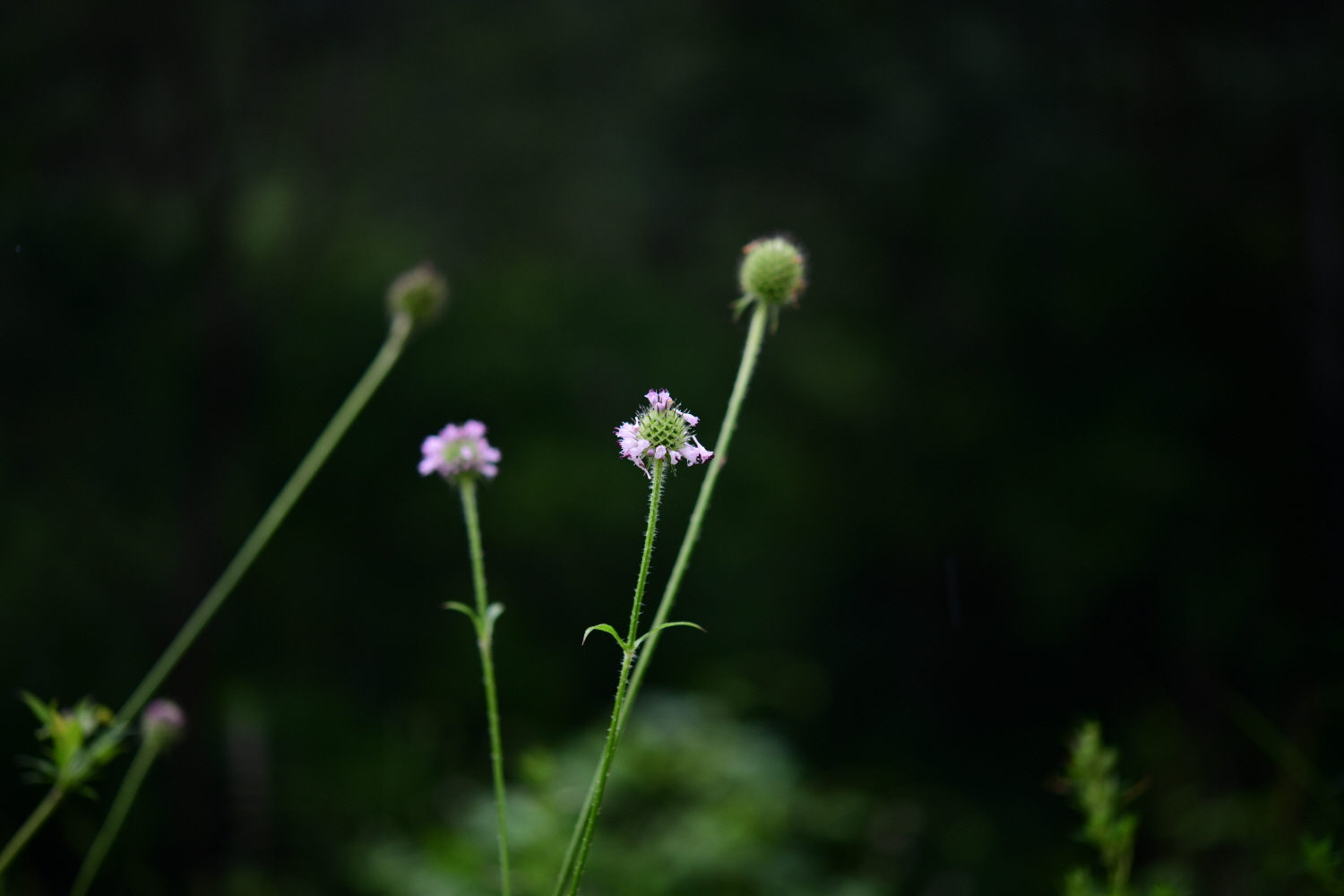 크기변환_DSC_5372.JPG