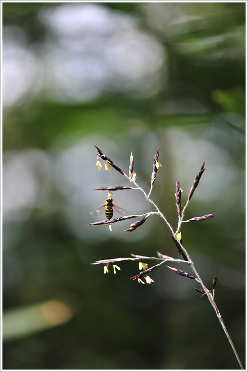 DSC_0168.jpg