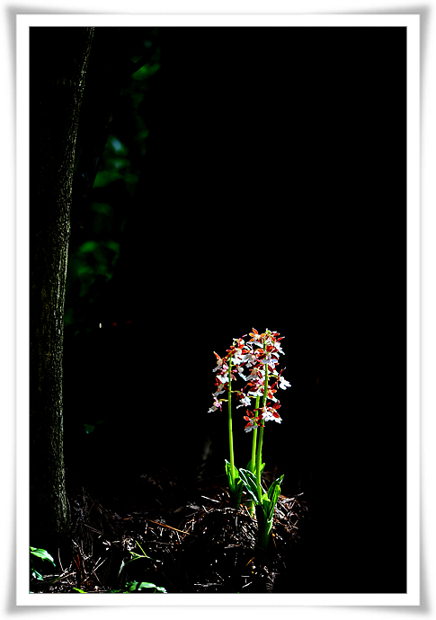 DSC_8314-2.jpg