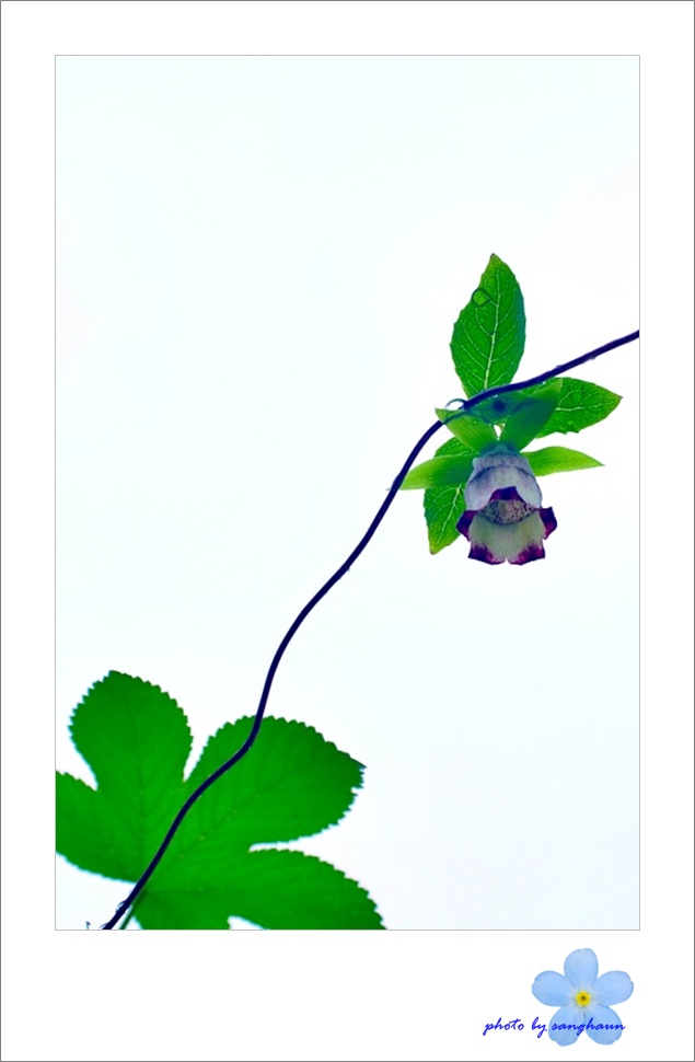 소경9.JPG