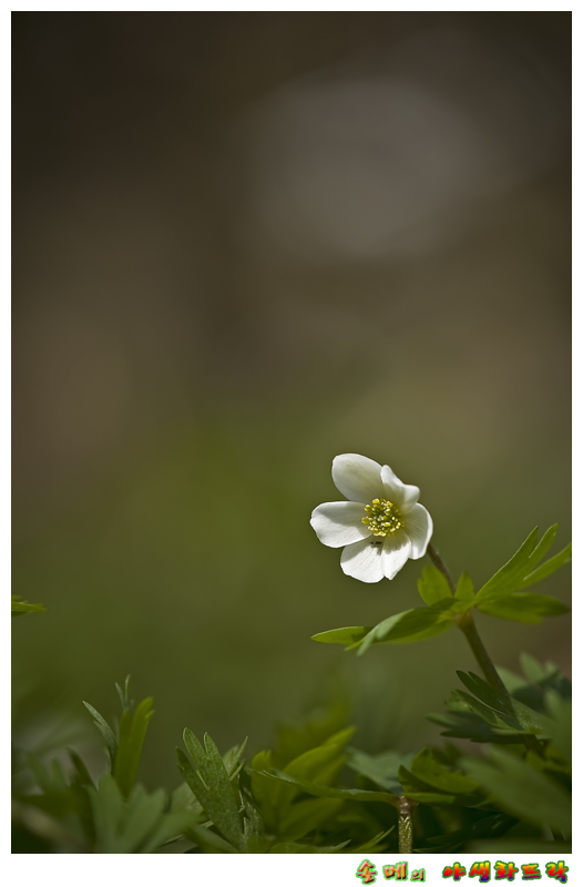 DSC_2047-1.jpg