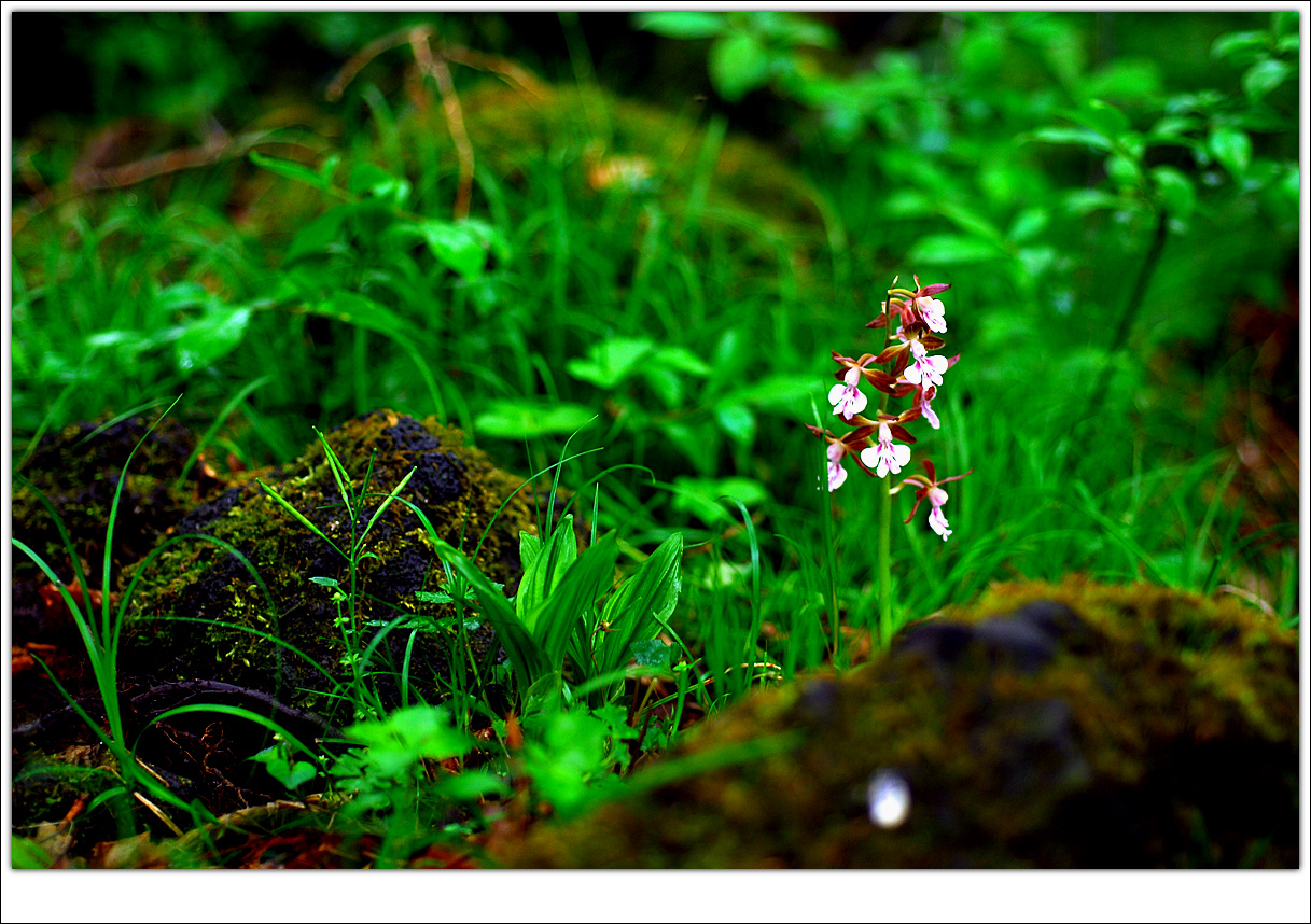 DSC_4899.jpg