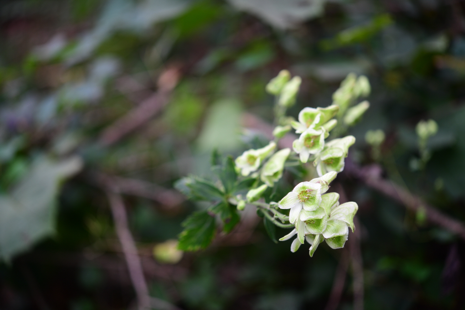 크기변환_DSC_5354.JPG