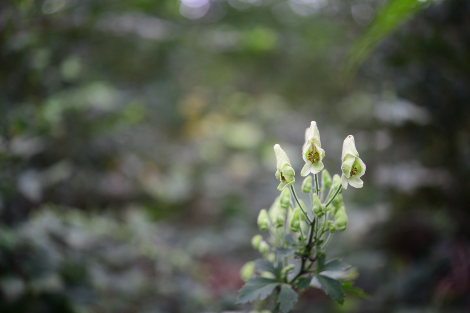 크기변환_DSC_5338.JPG