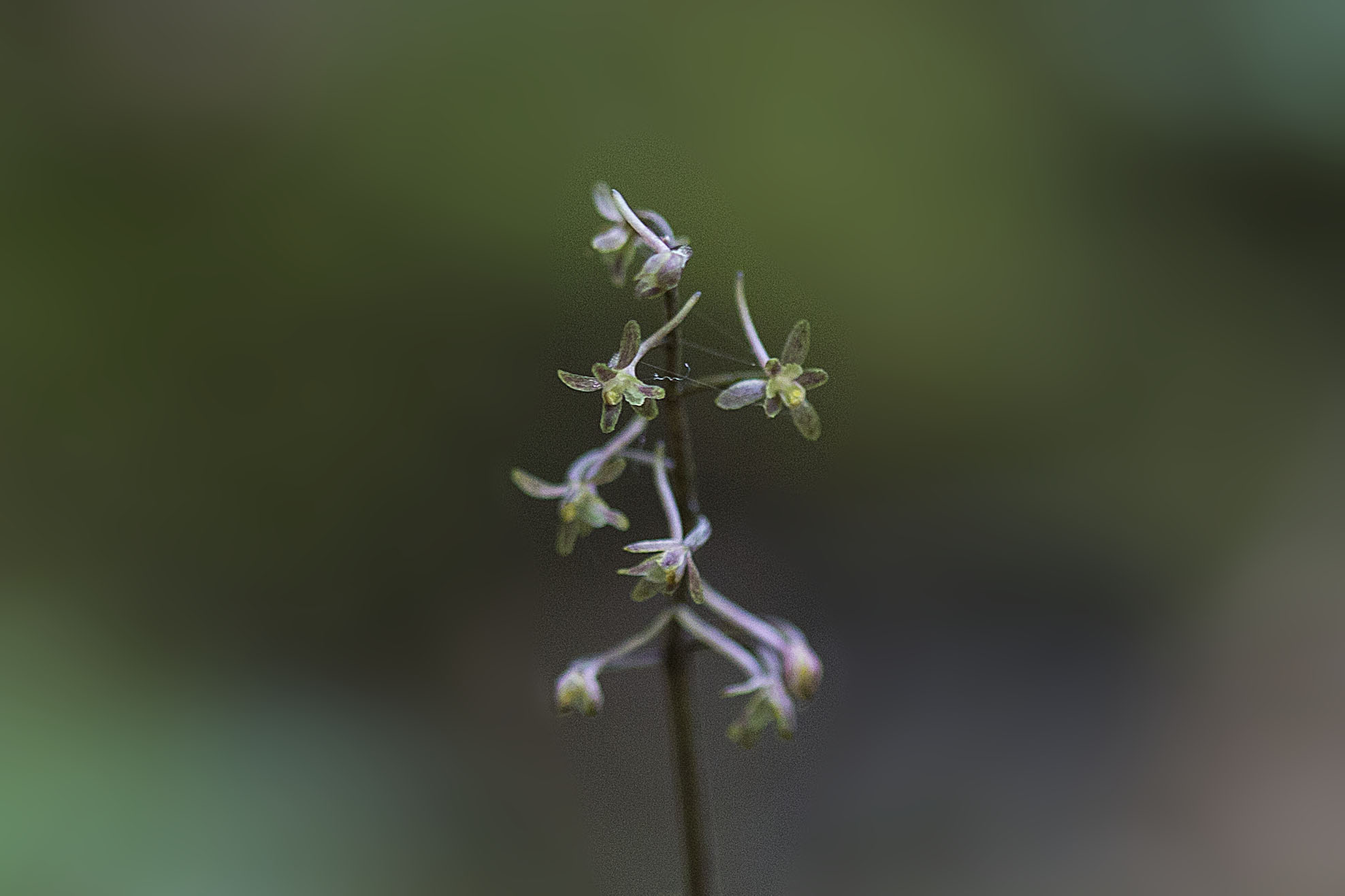 _KP_4439.jpg