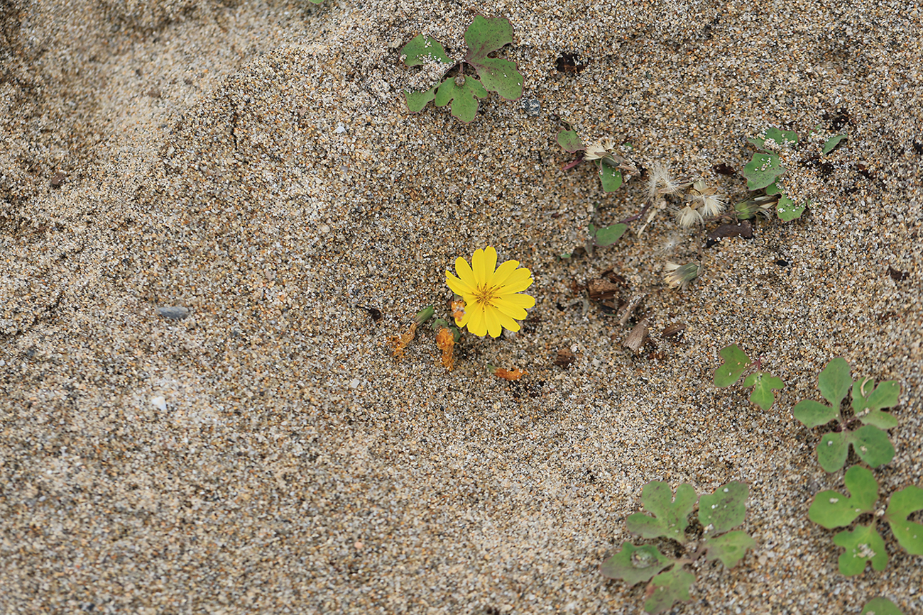 020A0565.jpg