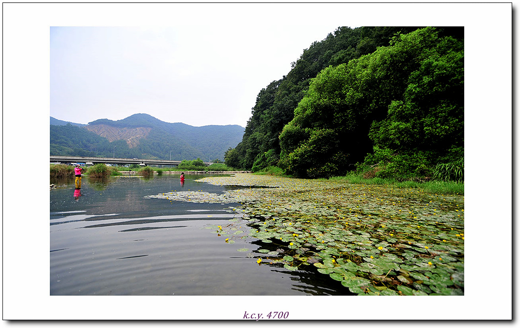 KCY_4258.jpg