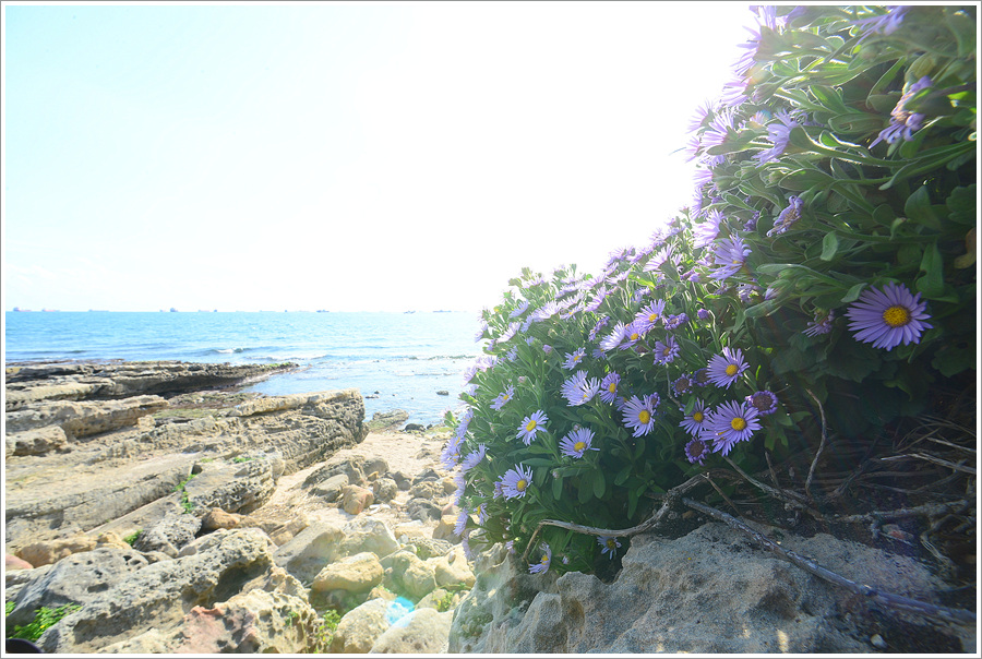 DSC_3598.jpg