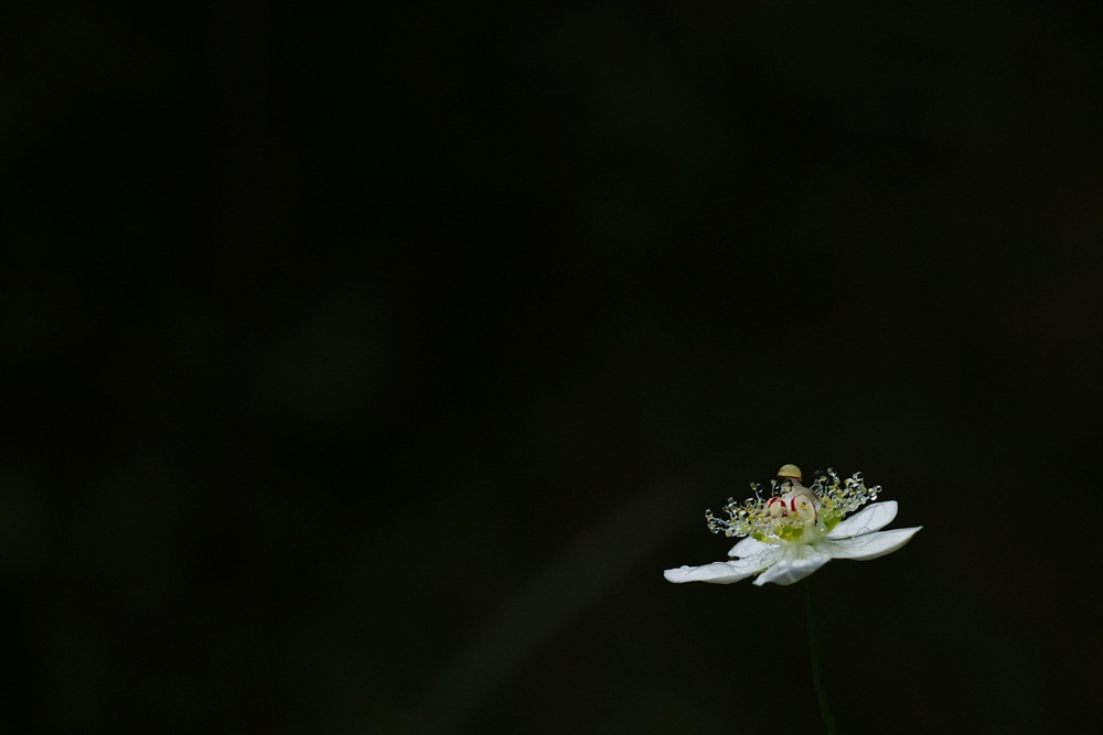 DSC09045.JPG