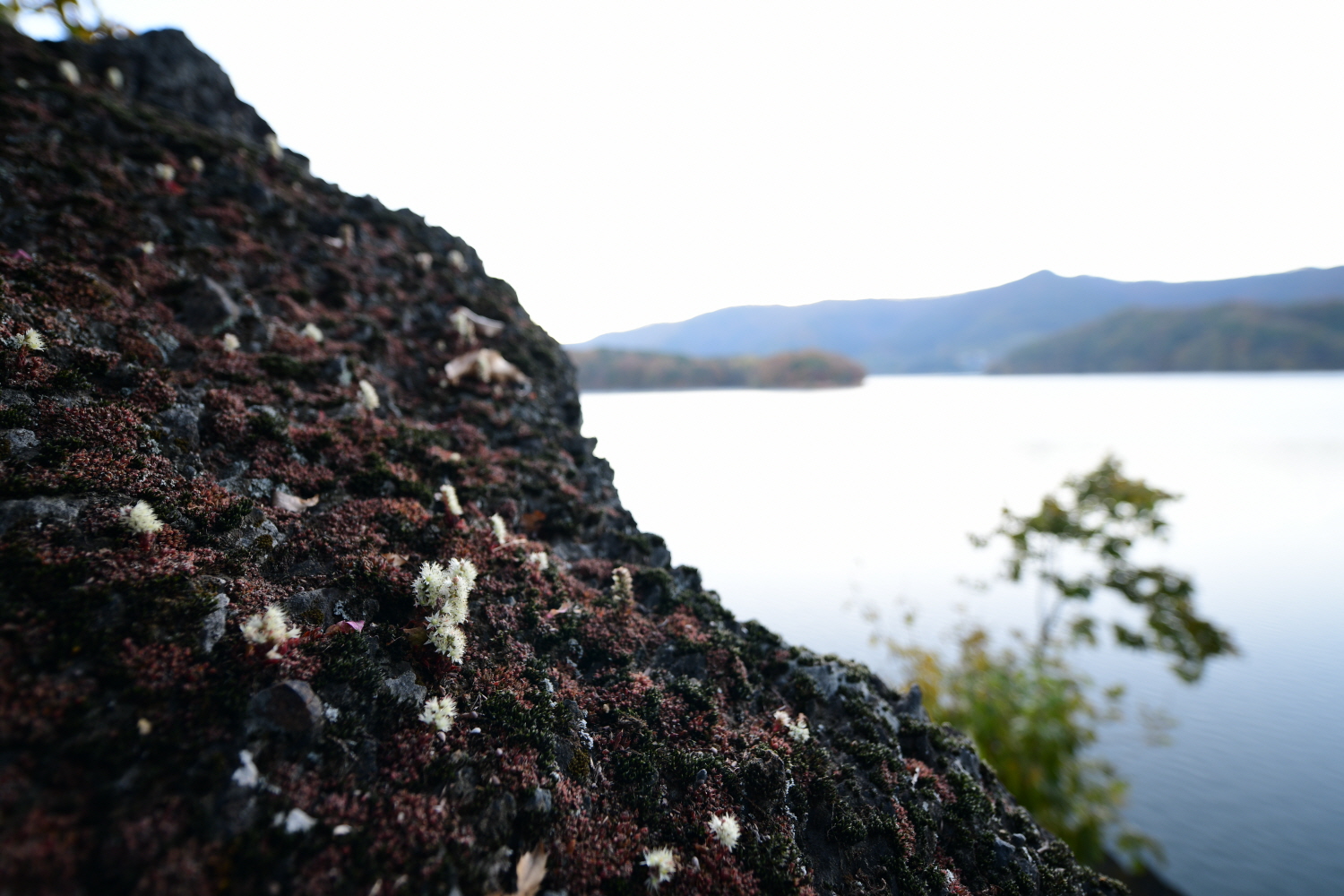 크기변환_DSC_6699.JPG