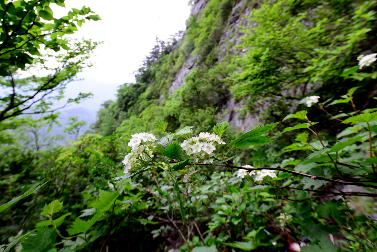 DSC_0402.JPG