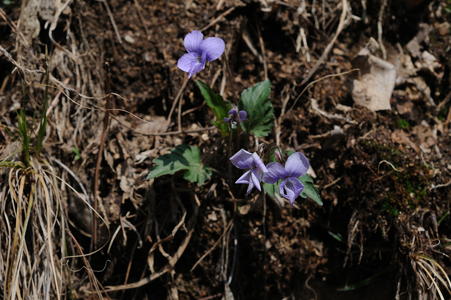 DSC_9175.jpg