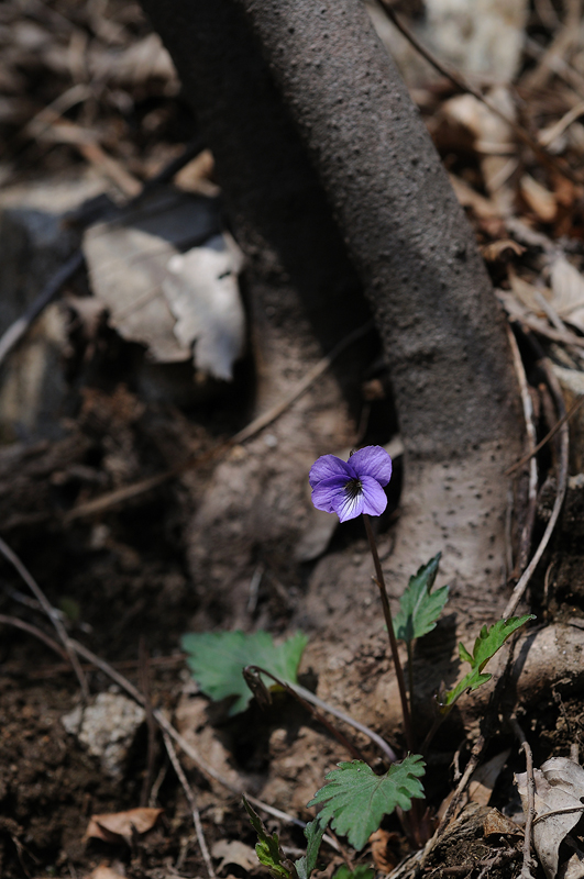 DSC_9164.jpg