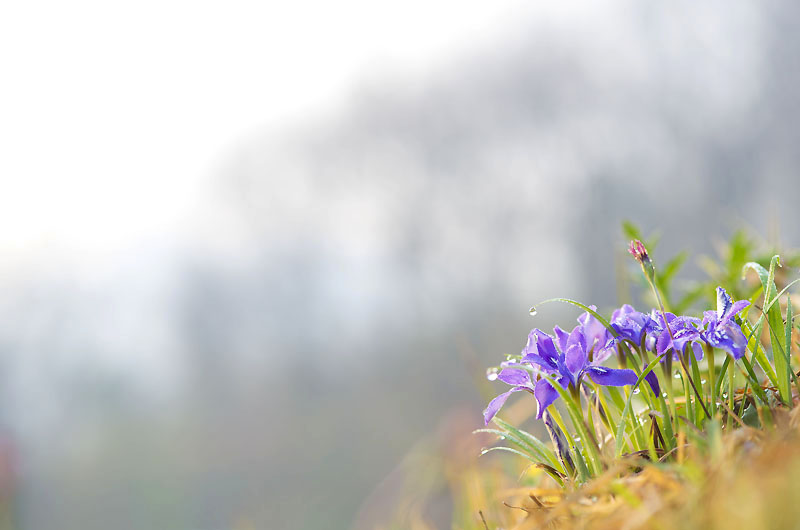 20130430_0007a-1.jpg