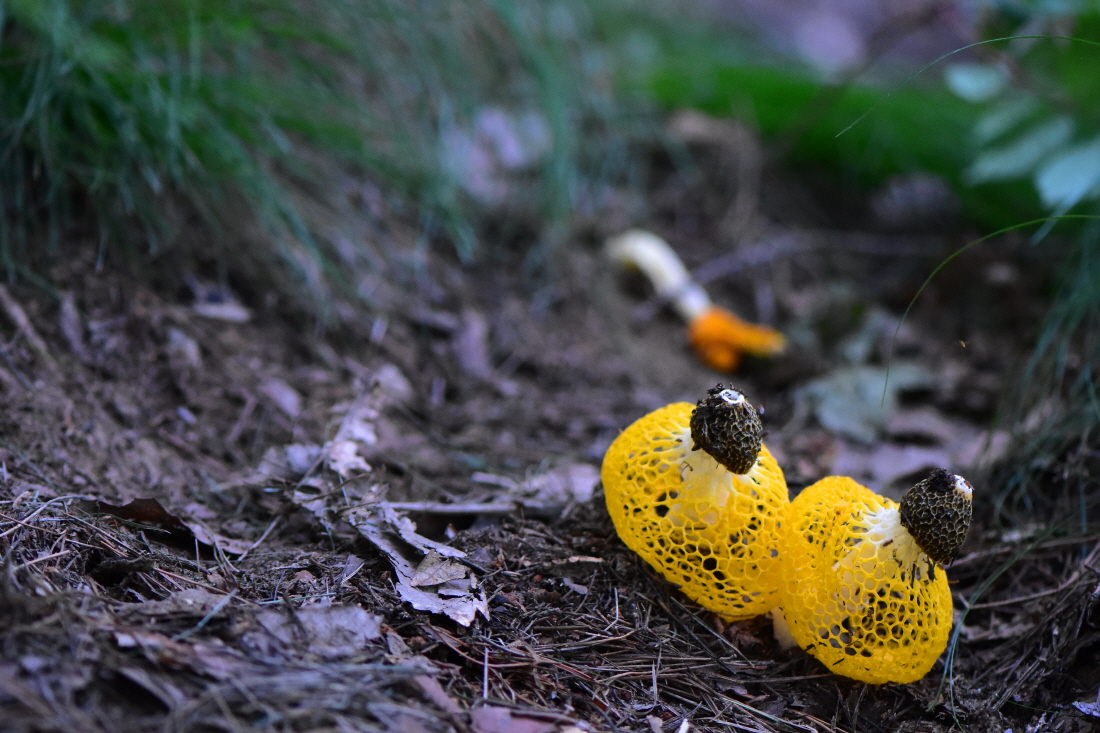 DSC_9966.JPG