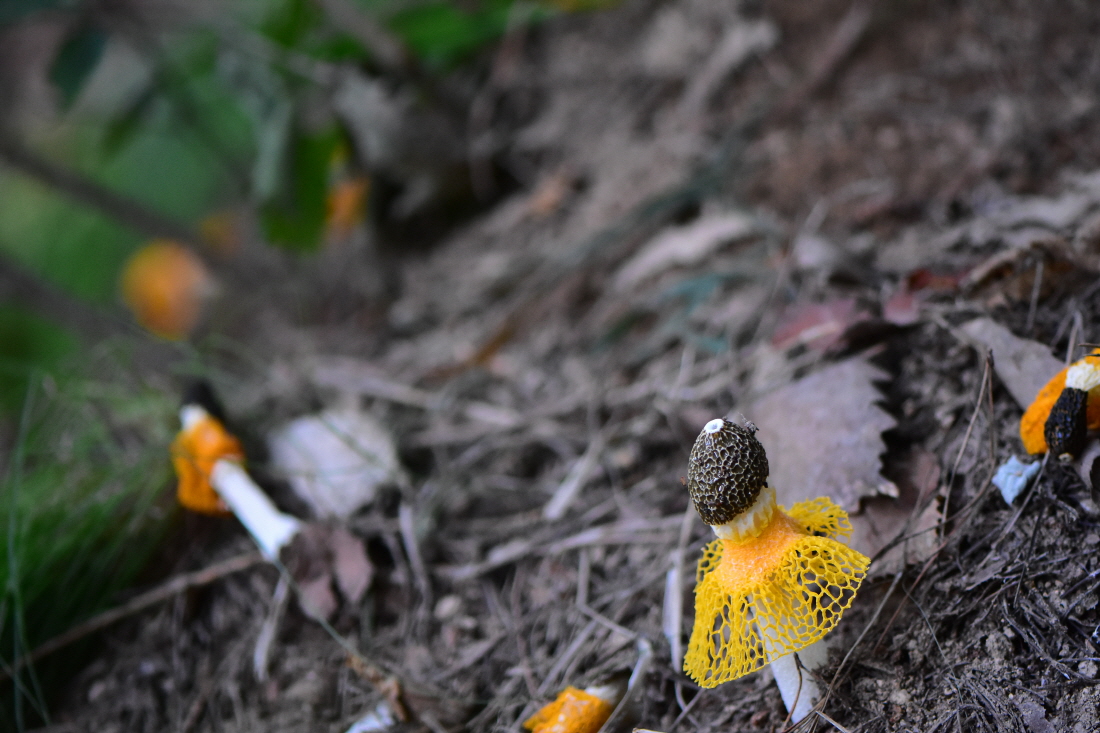 DSC_9958.JPG