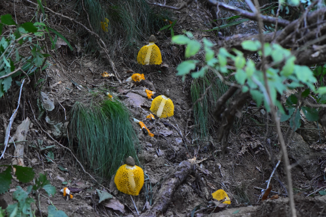 DSC_0108.JPG