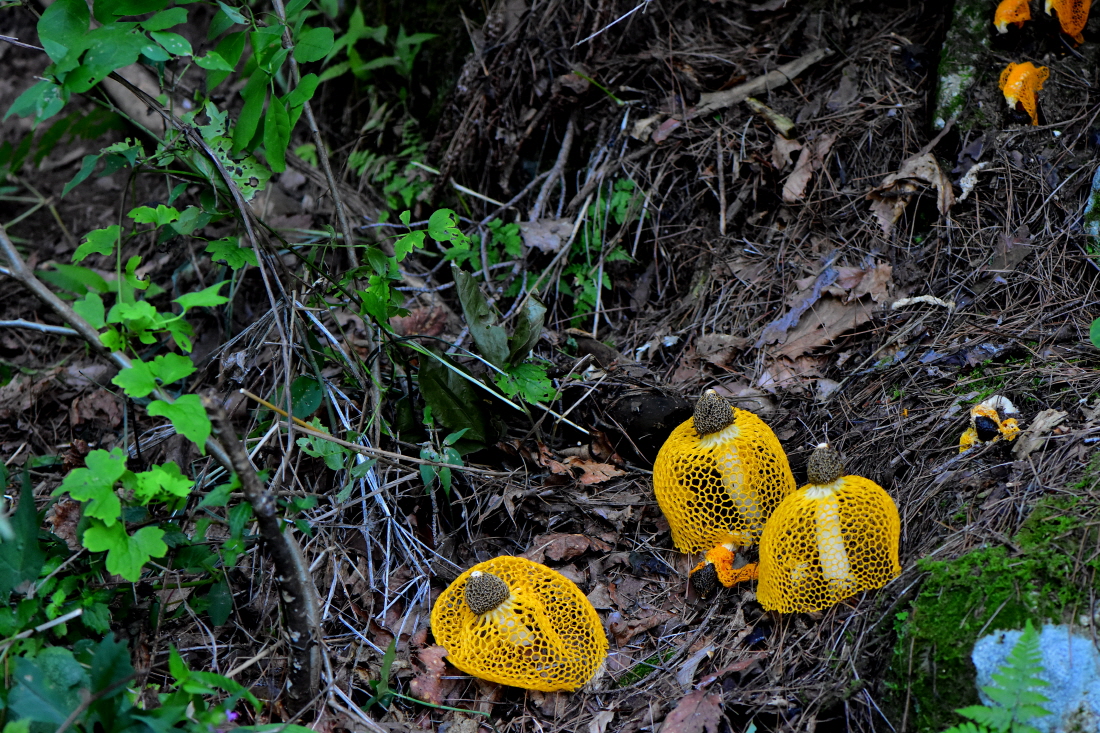 DSC_0123.JPG
