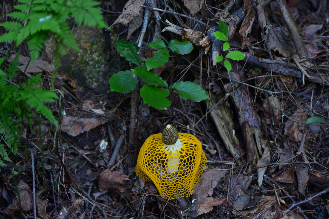 DSC_9993.JPG