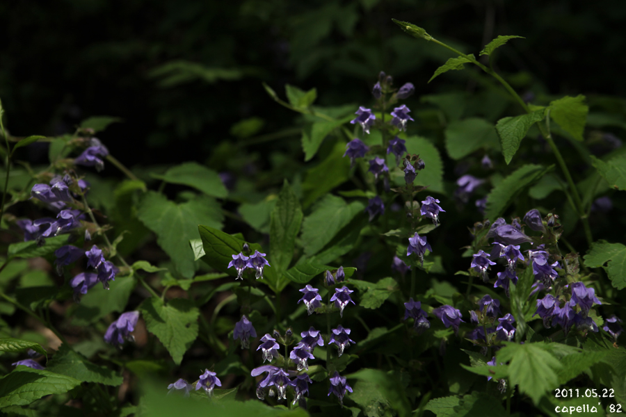 0522-4-3.jpg