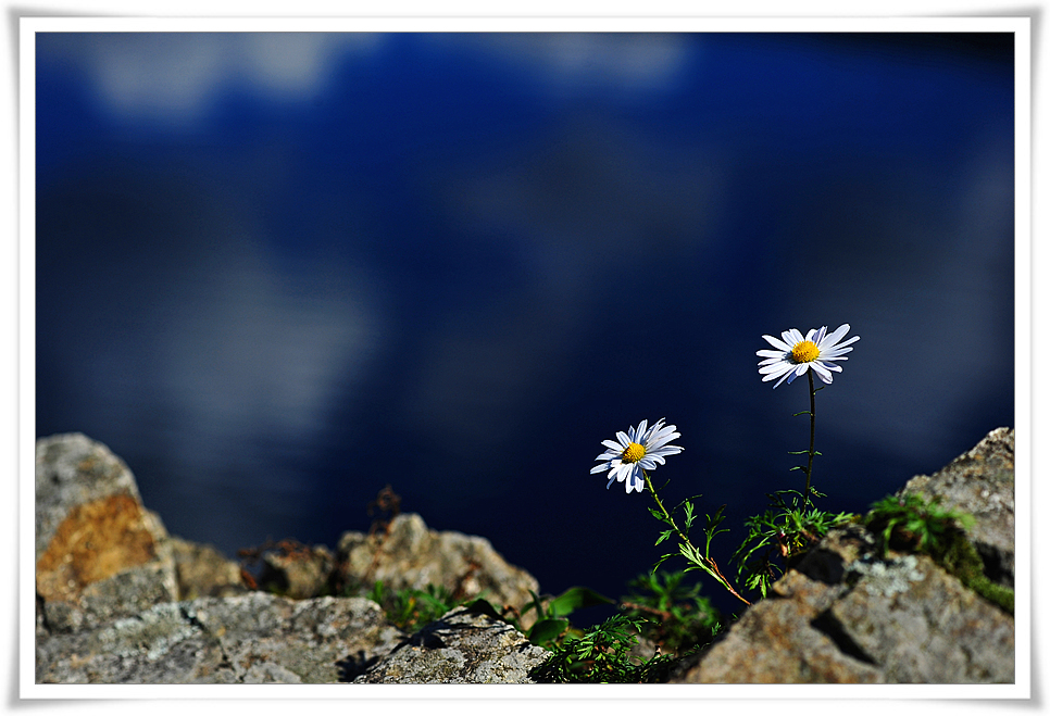 DSC_4492-1.jpg