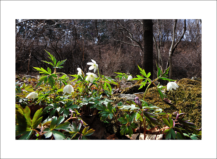 DSC_9716.jpg