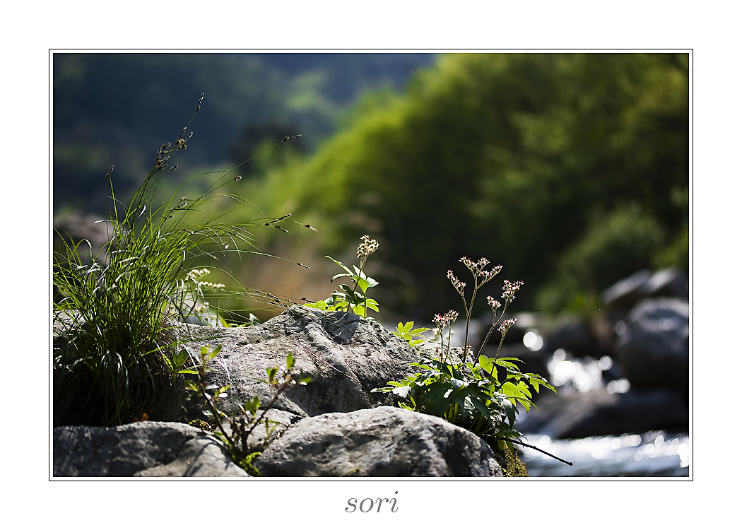 IMG_7118광덕산.jpg