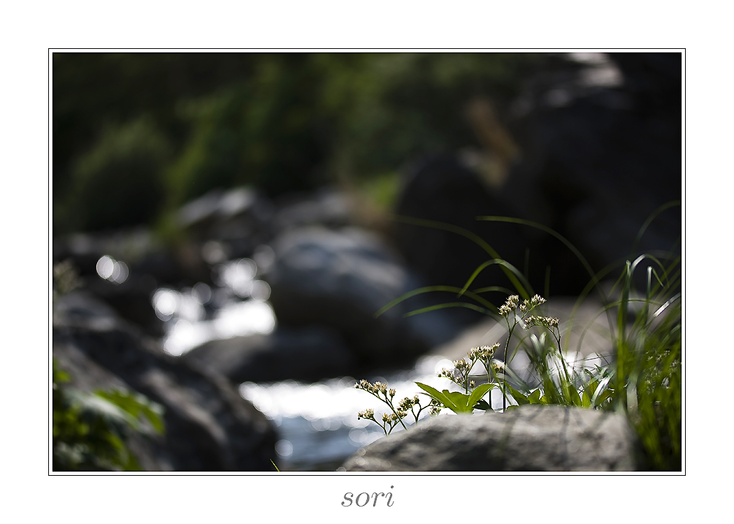IMG_7125광덕산.jpg