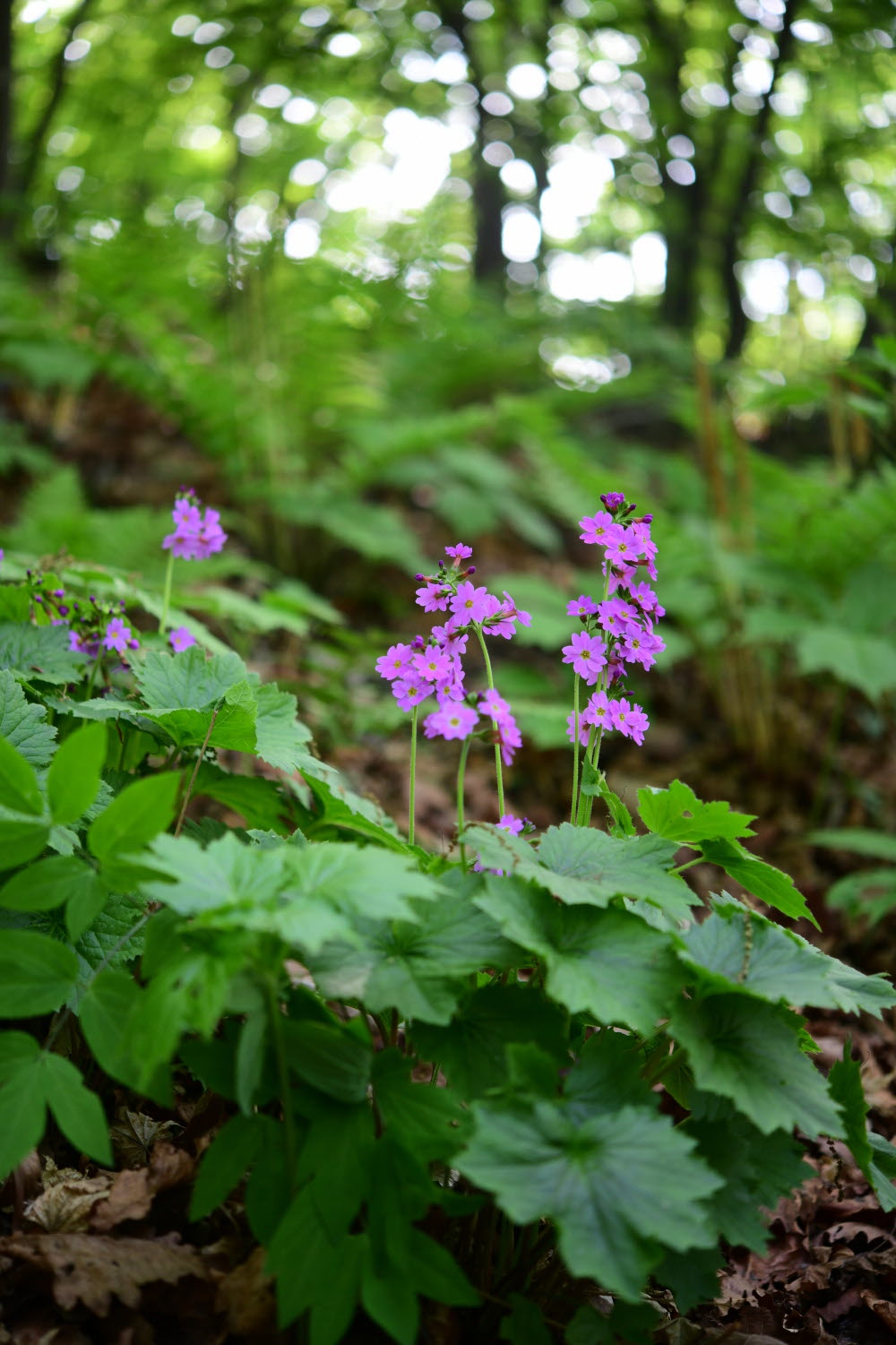 크기변환_DSC_2082.JPG