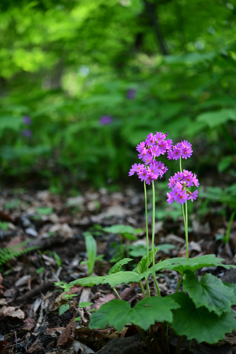 크기변환_DSC_2141.JPG