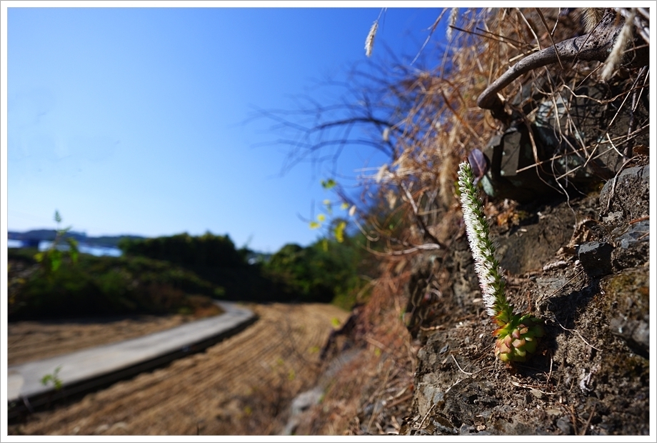 진주8.JPG