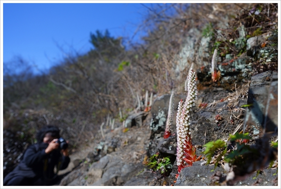 진주16.JPG