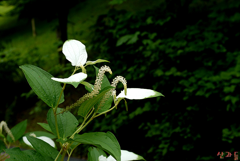 DSC_8327.jpg