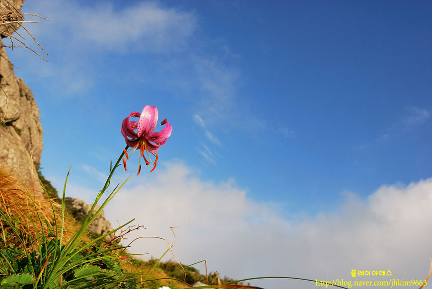 DSC_5216.jpg
