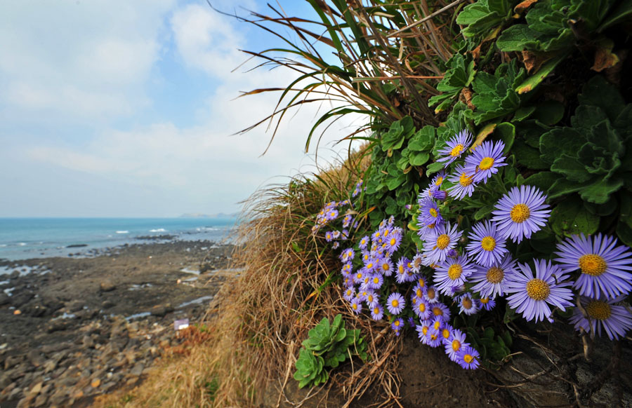 20111030_0001-1.jpg