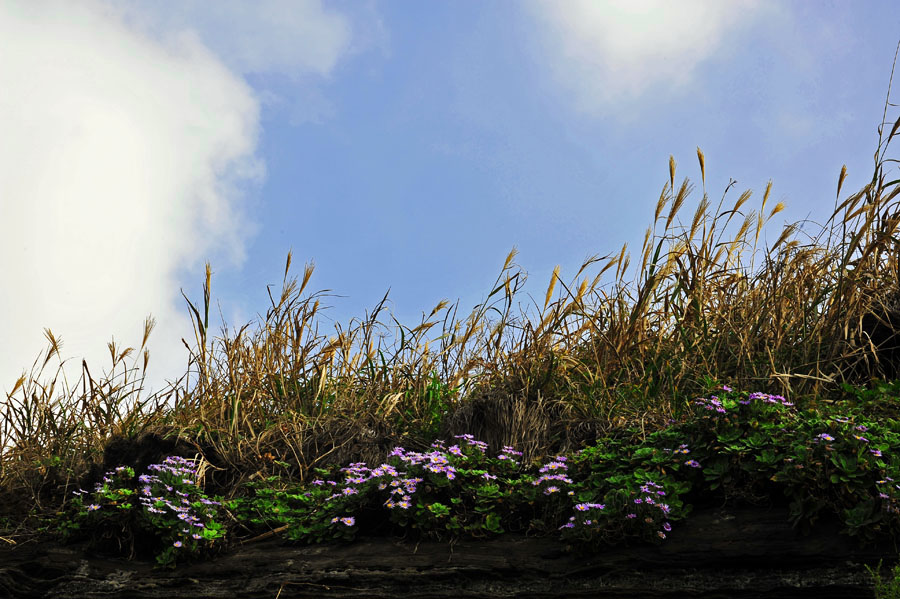 20111030_0007-1.jpg