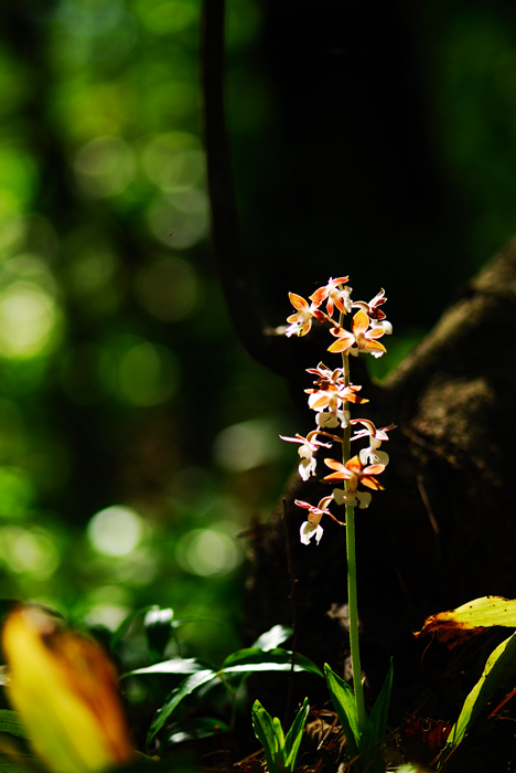 DSC_7906-1.jpg