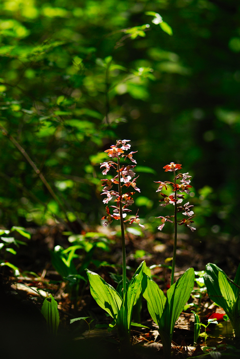 DSC_7898-1.jpg