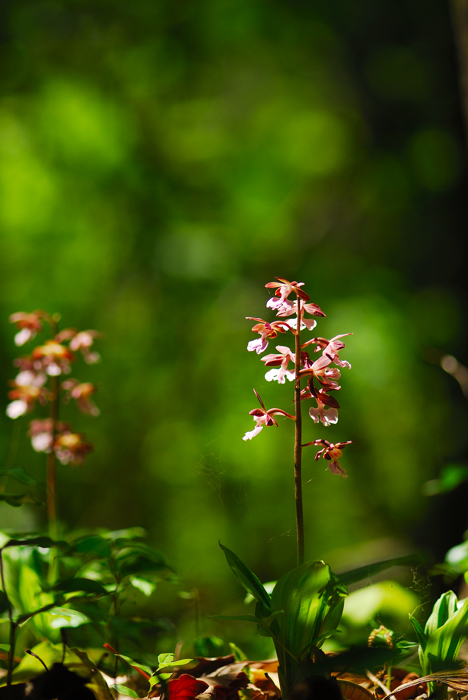 DSC_7891-1.jpg