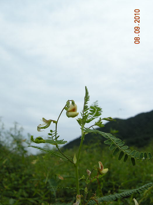 사진 382.jpg