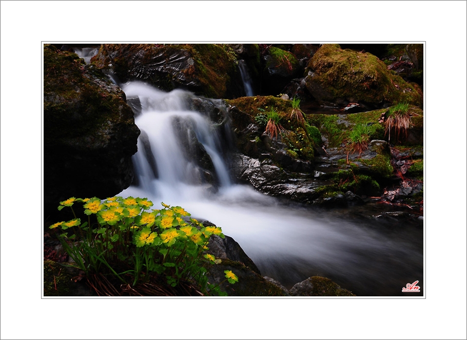 DSC_1050.jpg