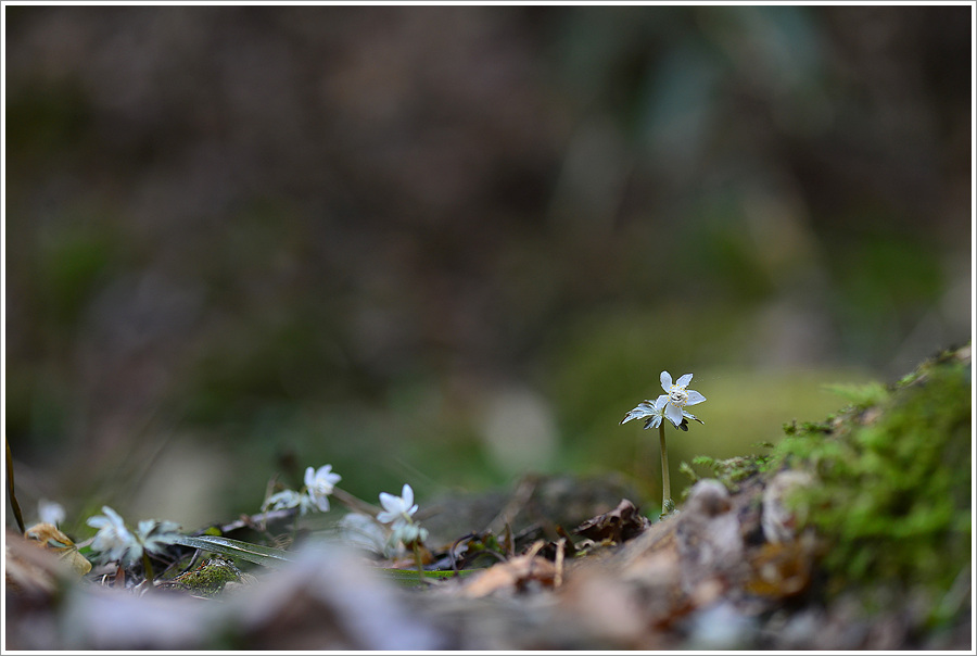 DSC_5217.jpg