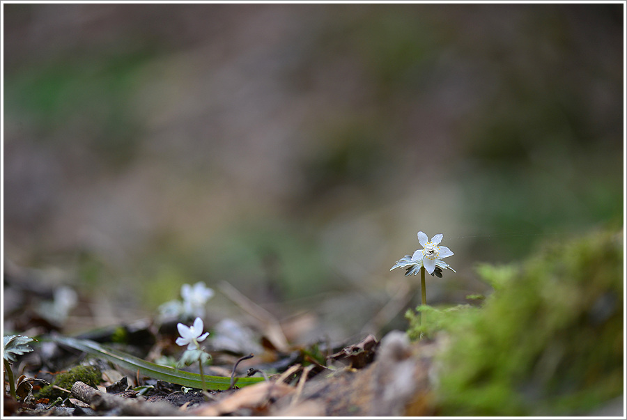 DSC_5256.jpg