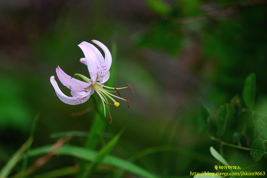 DSC_3031.jpg