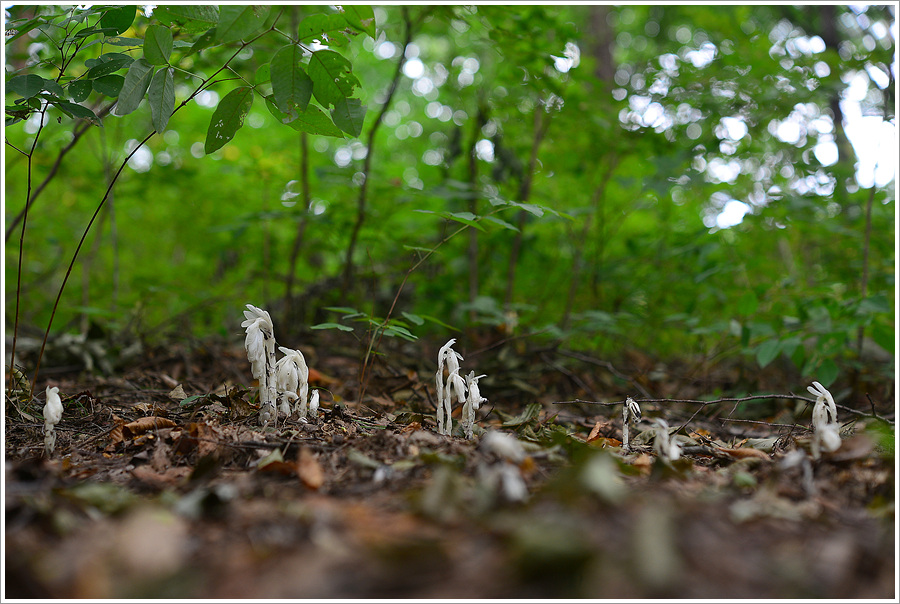 DSC_9052.jpg