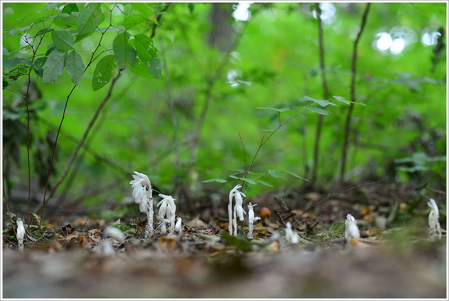 DSC_9127.jpg