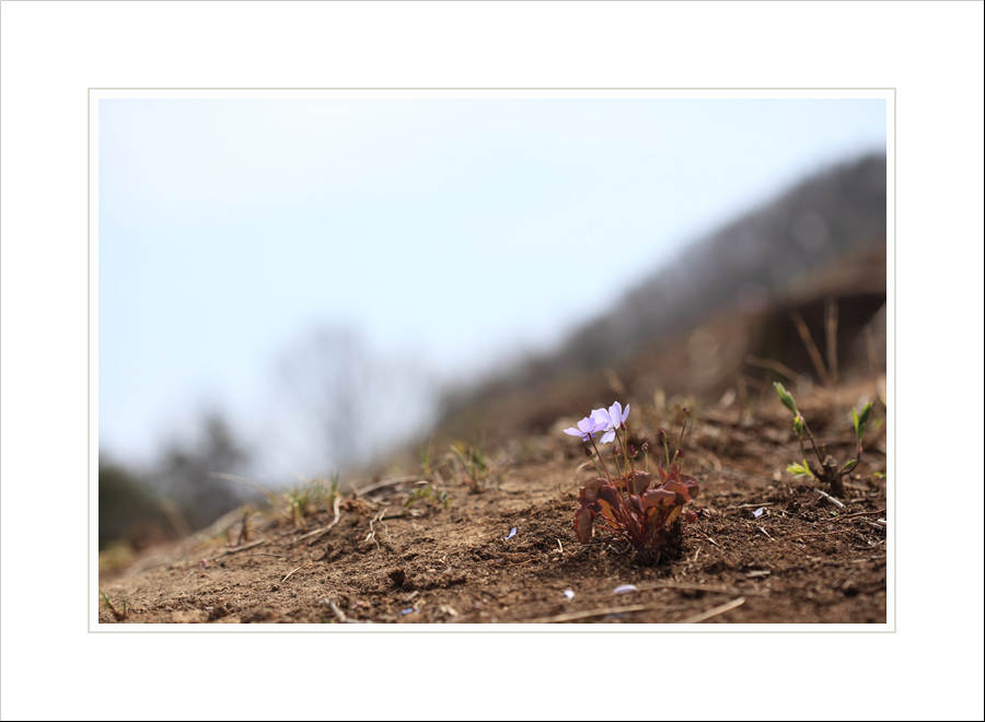 IMG_9717s.jpg